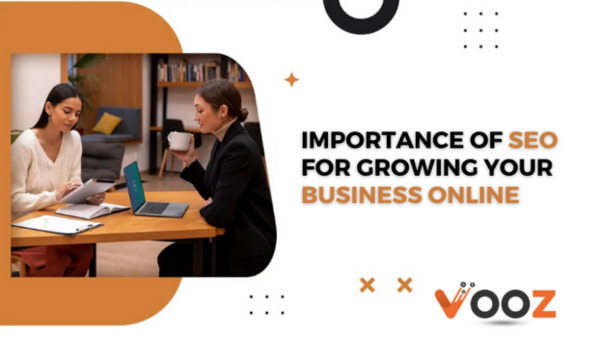 Importance-of-SEO-for-Growing-Your-business-vooz